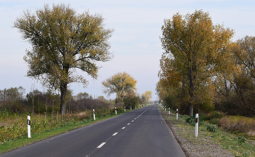 Dévaványa- Gyomaendrőd összekötő út